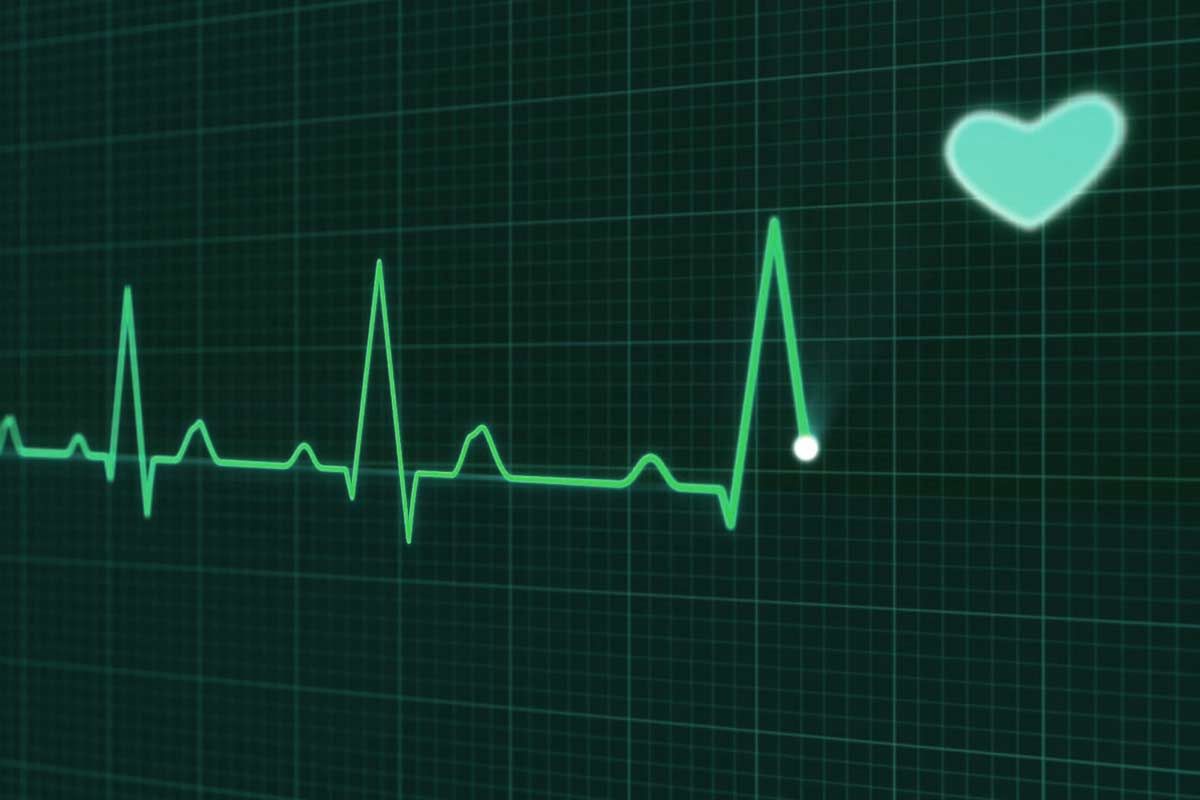 Elettrocardiografo ecg.jpg